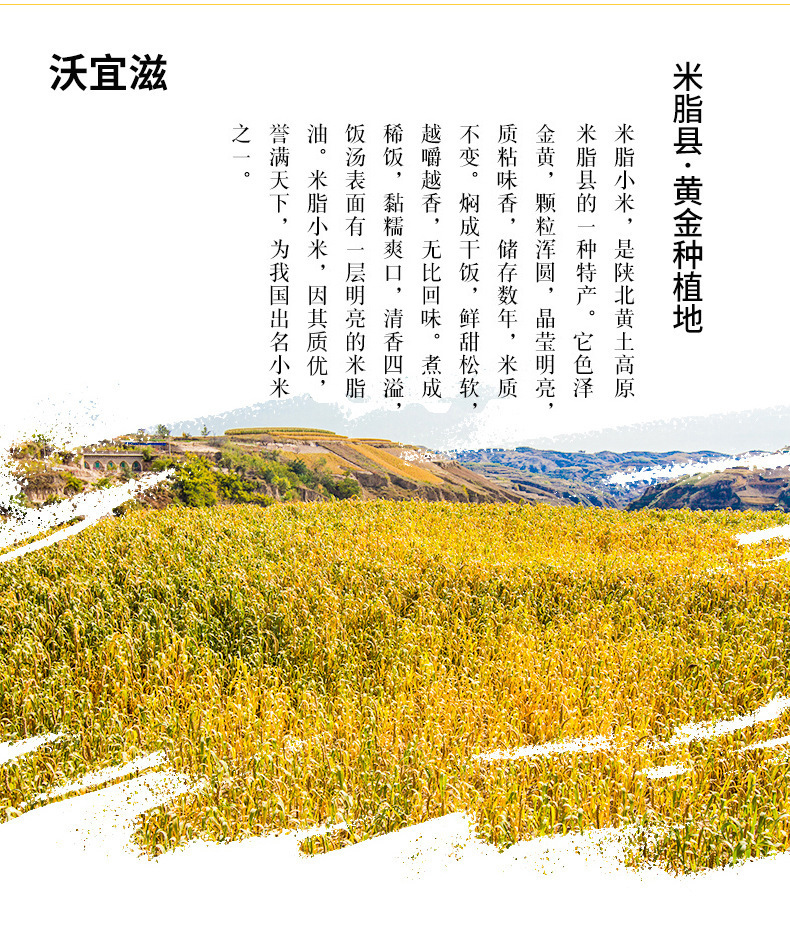 _Z290024_副本