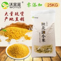 现货供应黄小米 黄土高原米脂黄小米 谷物杂粮宝宝米批发420g