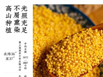 厂家直销吴阁老沁州黄新小米孕妇月子米幼儿宝宝米500g米脂黄小米图4