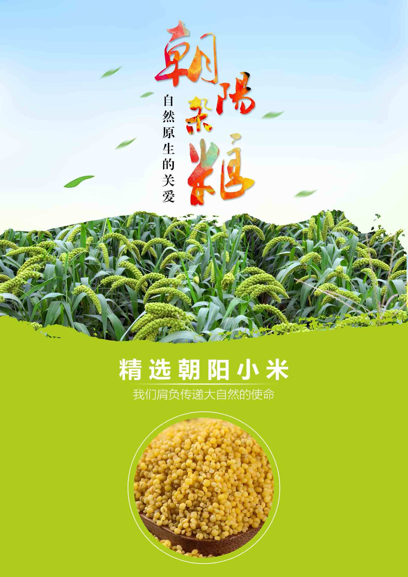 红谷小米_01