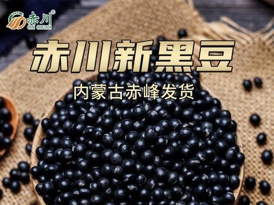 黑豆450g/盒 农家自产豆类粗粮 五谷杂粮豆子大黑豆非即食黑豆图3