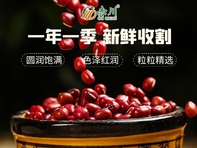 红豆现货 新货五谷杂粮散装赤豆450g珍珠粒现磨豆浆原料红小豆图2