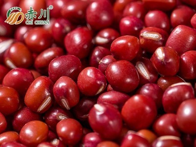 红豆现货 新货五谷杂粮散装赤豆450g珍珠粒现磨豆浆原料红小豆图3