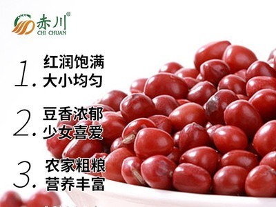 红豆现货 新货五谷杂粮散装赤豆450g珍珠粒现磨豆浆原料红小豆图4