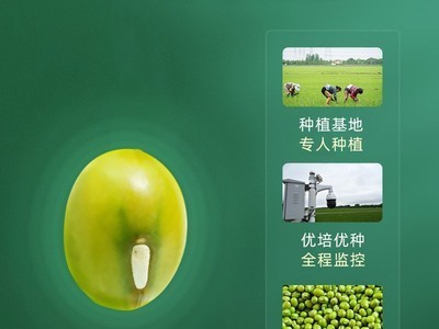 绿豆450g盒装五谷杂粮现磨烘焙绿豆磨坊磨粉小绿豆内蒙古厂家批发图3