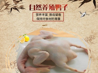 自然养殖的鸭子散养的新鲜鸭子嚼劲不油腻肉质紧实Q弹图1