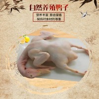 自然养殖的鸭子散养的新鲜鸭子嚼劲不油腻肉质紧实Q弹