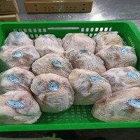 工厂直供大别山黑脚老母鸡土鸡柴鸡14/16/18/20/22只装一件代发