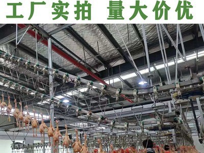 工厂直供大别山黑脚老母鸡土鸡柴鸡14/16/18/20/22只装一件代发图4