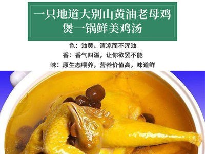 暖小七大别山黄油老母鸡土鸡柴笨鸡肉煲汤 招代理图3