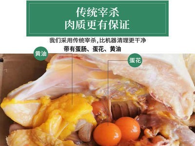 暖小七大别山黄油老母鸡土鸡柴笨鸡肉煲汤 招代理图2