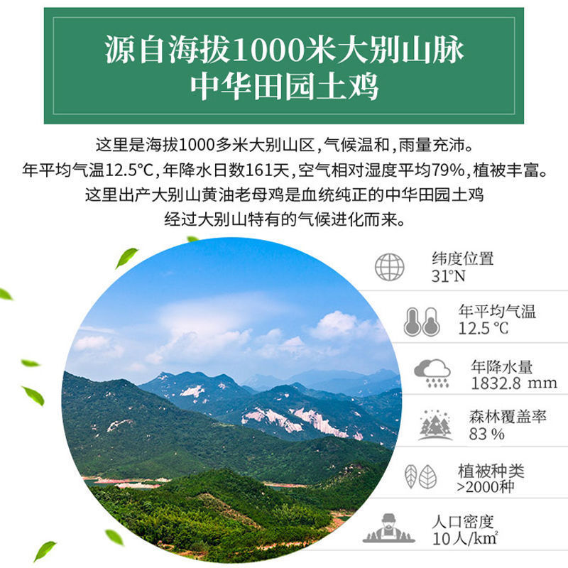 354938f5-4f6e-42dd-a235-6e0935