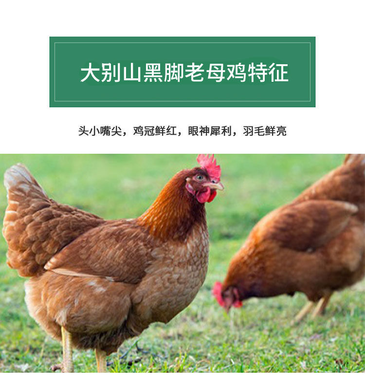 b0b88fe0-d014-4ab0-bb2f-c233f5