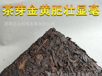 黎堃 云南普洱熟茶 老茶熟普洱茶傣乡贡茶 傣族传统制茶工艺图2
