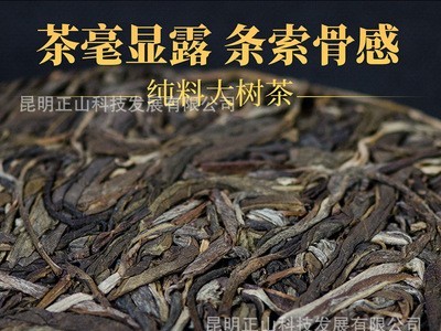 黎堃云南普洱茶生茶老茶厂直营乔木纯料昔归坝卡七子饼茶400g圆茶图3