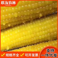 东北黑龙江黄黏糯玉米九根 280g/根熟玉米塑封真空包装糯玉米棒 一件代发