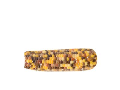 包邮东北9根花玉米220g/根 熟玉米塑封真空包装 量大价优图5