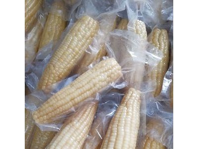 厂家销售东北8根白黏糯玉米220g以上/根 新鲜采摘包邮真空包装图2