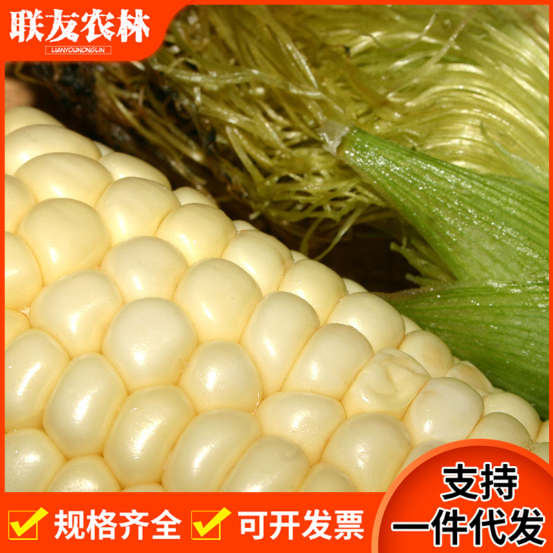 千图网-案板上的新鲜的玉米.jpg
