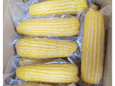 包邮东北9根黄玉米280g/根 新鲜香糯熟玉米塑封真空包装甜糯玉米图5