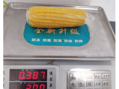 包邮东北9根黄玉米280g/根 新鲜香糯熟玉米塑封真空包装甜糯玉米图2