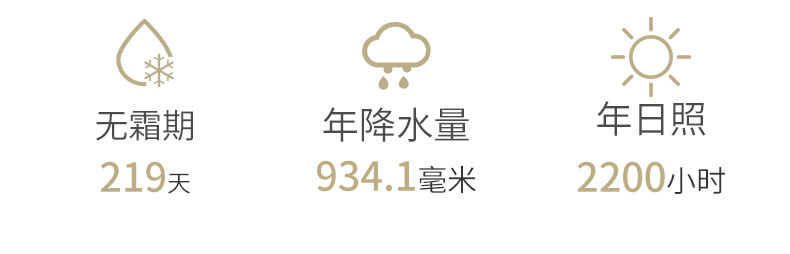 国玉米业黄色的_03