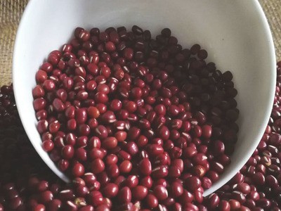 产地货源东北红豆 珍珠红小豆小红豆 豆类杂粮25kg/件厂家批发图3