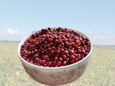 产地货源东北红豆 珍珠红小豆小红豆 豆类杂粮25kg/件厂家批发图2