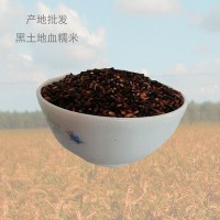产地货源东北黑龙江黑糯米 血糯米 五谷粗粮杂粮25kg厂家直发
