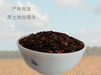 产地货源东北黑龙江黑糯米 血糯米 五谷粗粮杂粮25kg厂家直发图5