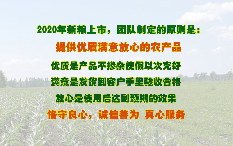 详情页1副本
