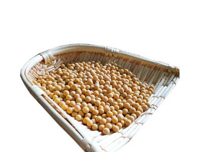 产地货源黄豆批发 非转基因高蛋白大豆 豆类杂粮25kg/件厂家直发图5