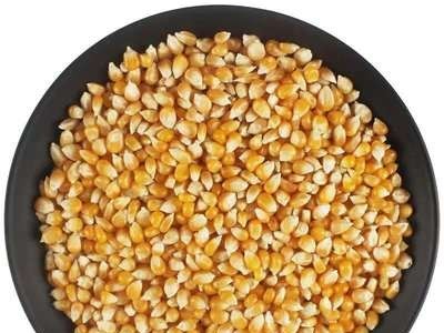 爆米花玉米粒自制蝶形爆裂小干玉米微波炉专用苞米原料批发贴牌图3