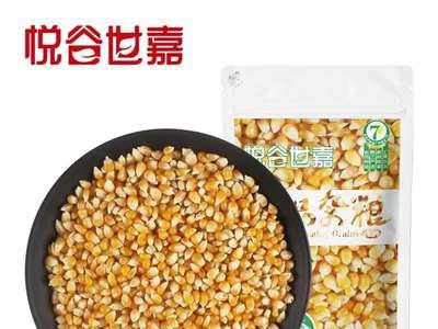 爆米花玉米粒自制蝶形爆裂小干玉米微波炉专用苞米原料批发贴牌图4