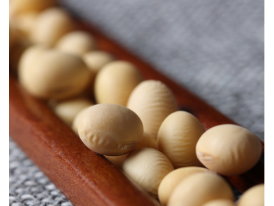 熟黄豆低温烘焙熟五谷杂粮磨粉原料现磨打豆浆专用批发东北笨黄豆图4