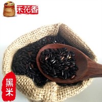 黑米批发 东北黑米 五常黑米 新米 一件代发