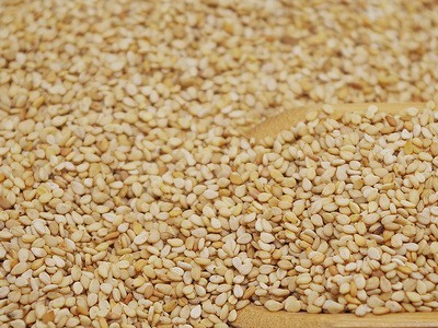 厂家直销批发新货带皮生白芝麻饱满干净500g部分地区5斤包邮图3