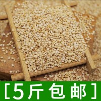 厂家直销批发新货带皮生白芝麻饱满干净500g部分地区5斤包邮
