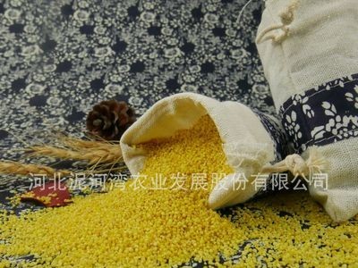 泥河湾有机红谷小米 2020有机黄小米 宝宝米 月子米 小米粥 批发图5