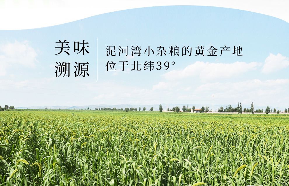 新修改红谷小米990_04
