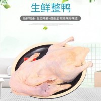 冷冻新鲜生鸭肉 樱桃谷瘦肉型白条鸭生鲜食材鲜鸭 北京烤鸭用品