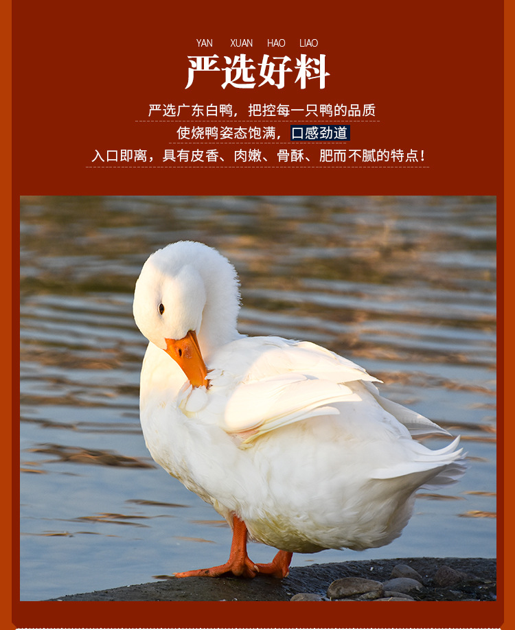 敬轩堂-详情页修改25_04