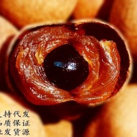 高州桂圆干10A龙眼干2020新货干贵圆非无核桂圆肉500g袋代发批发