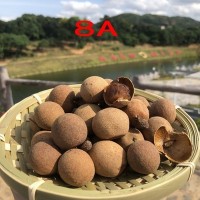 产地直批8A桂圆干 高州龙眼干 10kg一箱批发核小肉厚果大零食干果