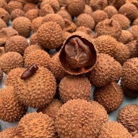 桂味荔枝干核小肉厚2021新货干荔枝肉高州特产干货非无核500g代发