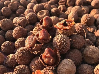 桂味荔枝干核小肉厚2021新货干荔枝肉高州特产干货非无核500g代发图2