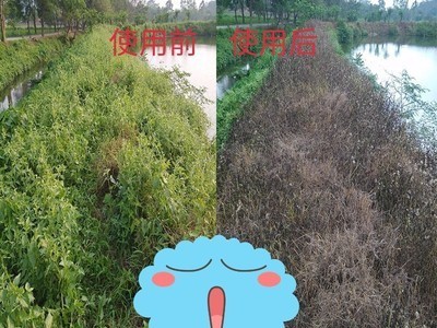 1.8%阿维菌素 柑橘红蜘蛛虫根结线虫卷叶螟稻杀虫剂500ml*20瓶/箱图3