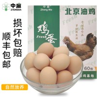 中麻北京油鸡新鲜生鸡蛋30枚新鲜鸡蛋农家蛋鸡蛋生