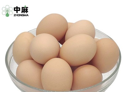 中麻北京油鸡新鲜生鸡蛋30枚新鲜鸡蛋农家蛋鸡蛋生图5