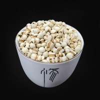 厂家供应熟小薏米仁 低温烘焙熟小薏仁 现磨坊磨粉代用茶原料